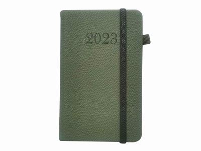 Opakowanie Kalendarz 2023 Waran pastele 1 szt. mix