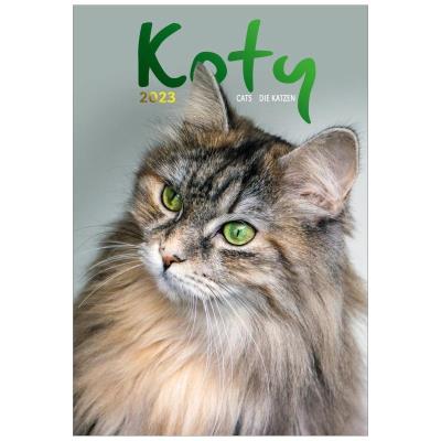 Opakowanie Kalendarz 2023 Wieloplanszowy Koty