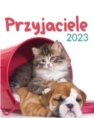Opakowanie Kalendarz 2023 Wieloplanszowy Przyjaciele ARTSEZON