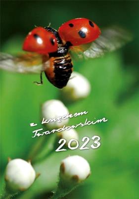Opakowanie Kalendarz 2023 z ks. Twardowskim - biedronka
