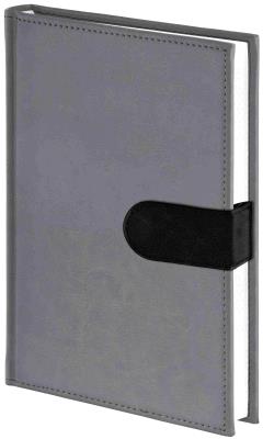 Opakowanie Kalendarz 2024 A5 Dzienny Nebraska szary