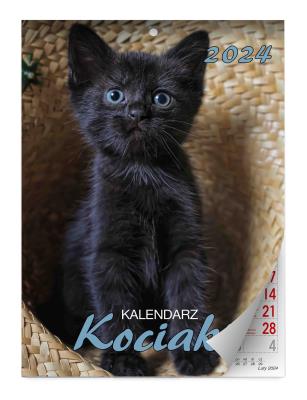 Kalendarz 2024 Kociaki ścienny. Wydawca: KALPOL.BIS kalendarze. SmakLiter.pl Opakowanie Kalendarz 2024 Kociaki ścienny