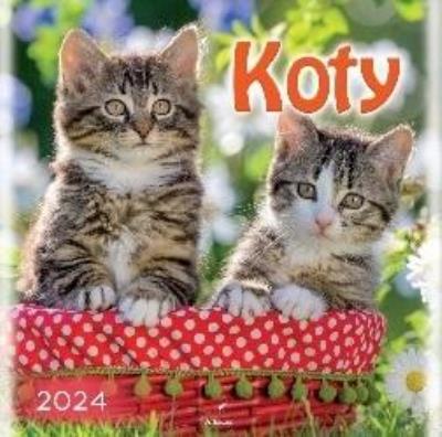 Opakowanie Kalendarz 2024 Koty