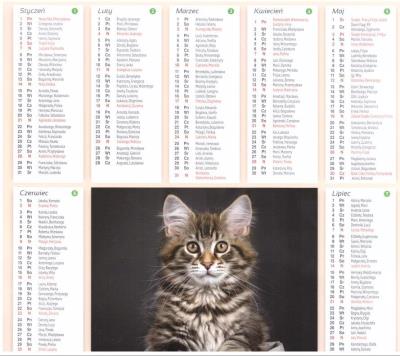 Opakowanie Kalendarz 2024 Plakietka