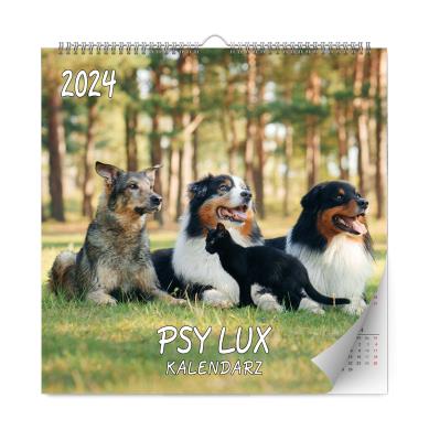 Kalendarz 2024 Psy lux ścienny. Wydawca: KALPOL.BIS kalendarze. SmakLiter.pl Opakowanie Kalendarz 2024 Psy lux ścienny