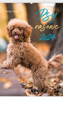Opakowanie Kalendarz 2024 Reklamowy Psy rasowe