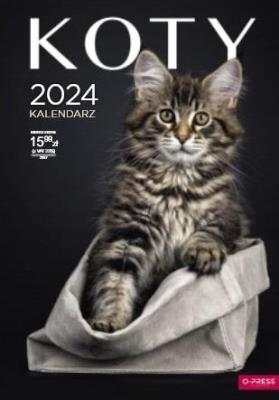 Opakowanie Kalendarz 2024 ścienny A3 Koty