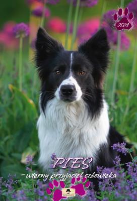 Opakowanie Kalendarz 2024 ścienny A3 pies wierny przyjaciel człowieka VD.12