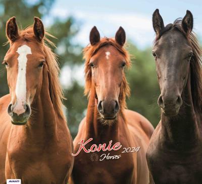 Opakowanie Kalendarz 2024 Ścienny Konie z ciekawostkami