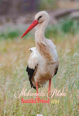 Opakowanie Kalendarz 2024 Ścienny Malownicza Polska