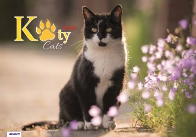 Okładka książki Kalendarz 2024 Ścieny Koty