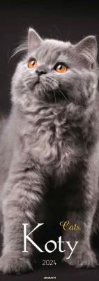 Opakowanie Kalendarz 2024 Ścieny Koty