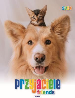 Okładka książki Kalendarz 2024 Ścieny Przyjaciele