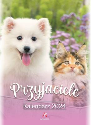 Opakowanie Kalendarz 2024 wieloplanszowy B4 Przyjaciele kolor