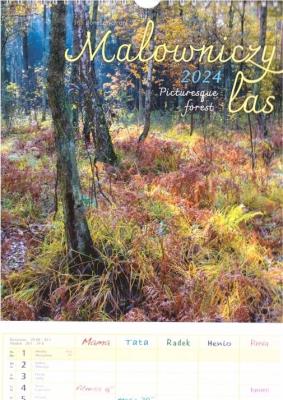 Kalendarz 2024 wieloplanszowy - Malowniczy las. Wydawca: Parma Press. SmakLiter.pl Opakowanie Kalendarz 2024 wieloplanszowy - Malowniczy las
