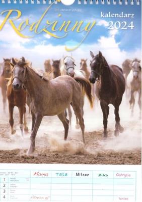 Kalendarz 2024 wieloplanszowy - Rodziny. Wydawca: Parma Press. SmakLiter.pl Opakowanie Kalendarz 2024 wieloplanszowy - Rodziny