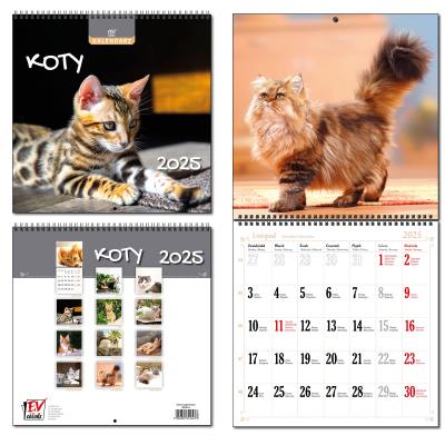 Opakowanie Kalendarz 2025 30x60 13 planszowy Koty