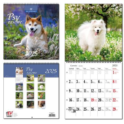 Opakowanie Kalendarz 2025 30x60 13 planszowy Psy Rasowe