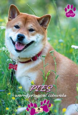 Kalendarz 2025 A3 ścienny Pies przyjaciel. Autor: Pan Kalendarzyk. SmakLiter.pl Okładka książki Kalendarz 2025 A3 ścienny Pies przyjaciel