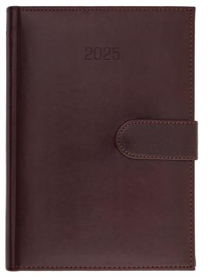 Opakowanie Kalendarz 2025 A4 dzienny Nebraska magnes brązowy