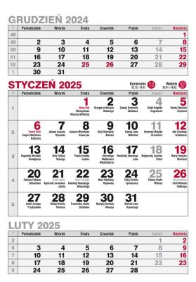 Okładka książki Kalendarz 2025 A5 biurkowy pionowy trójdzielny MIX