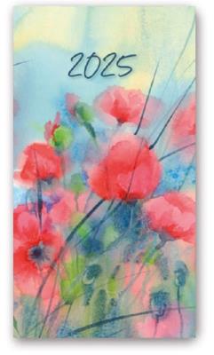 Okładka książki Kalendarz 2025 A6 tyg soft ŁĄKA