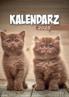 Opakowanie Kalendarz 2025 A6 Zdzierak MIX