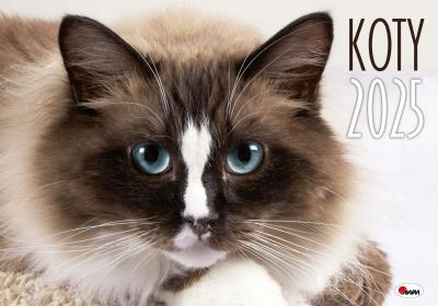 Kalendarz 2025 albumowy Koty. Wydawca: AWM kalendarze. SmakLiter.pl Opakowanie Kalendarz 2025 albumowy Koty