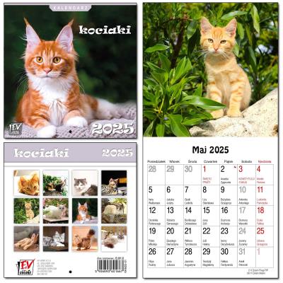 Opakowanie Kalendarz 2025 dla dzieci 16x32 13 plansz Kociaki
