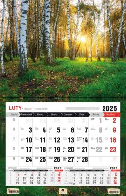 Kalendarz 2025 jednodzielny 3XL Las. Autor: Pan Kalendarzyk. SmakLiter.pl Okładka książki Kalendarz 2025 jednodzielny 3XL Las