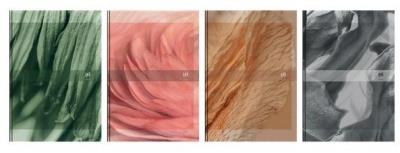 Opakowanie Kalendarz 2025 książkowy 15x21 DTP Nature OXFORD