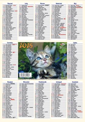 Kalendarz 2025 listkowy 1szt.mix. Wydawca: AWM kalendarze. SmakLiter.pl Opakowanie Kalendarz 2025 listkowy 1szt.mix