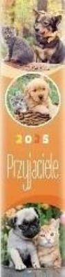 Opakowanie Kalendarz 2025 paskowy Przyjaciele