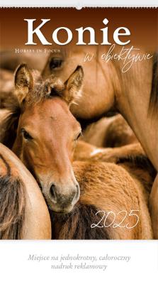 Okładka książki Kalendarz 2025 Reklamowy Konie w obiektywie