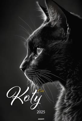 Opakowanie Kalendarz 2025 ścienny A3 Koty
