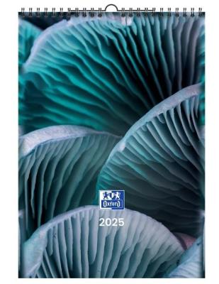 Opakowanie Kalendarz 2025 ścienny A3 Nature OXFORD