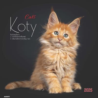 Okładka książki Kalendarz 2025 ścienny albumowy Koty