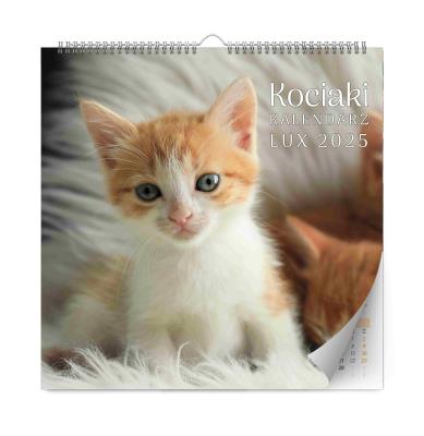 Opakowanie Kalendarz 2025 ścienny Kociaki LUX
