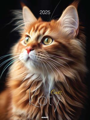 Opakowanie Kalendarz 2025 ścienny Koty