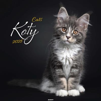 Opakowanie Kalendarz 2025 ścienny Koty
