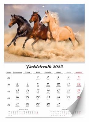 Kalendarz 2025 ścienny Lux Konie. Wydawca: Kalpol. SmakLiter.pl Opakowanie Kalendarz 2025 ścienny Lux Konie