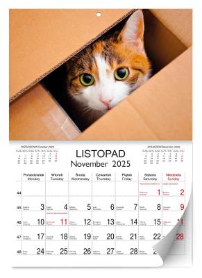 Opakowanie Kalendarz 2025 ścienny Lux Koty