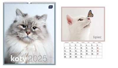 Opakowanie Kalendarz 2025 ścienny planszowy 33,5x40cm Koty