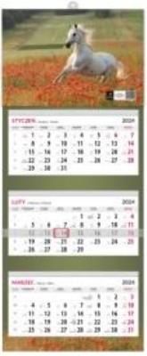 Opakowanie Kalendarz 2025 ścienny trójdzielny LUX MIX