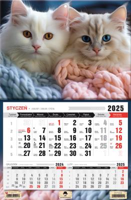 Kalendarz 2025 Trójdzielny jednodzielny Kotki. Autor: Pan Kalendarzyk. SmakLiter.pl Okładka książki Kalendarz 2025 Trójdzielny jednodzielny Kotki
