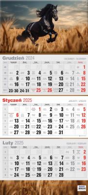 Opakowanie Kalendarz 2025 trójdzielny płaski MIX