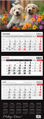 Kalendarz 2025 Trójdzielny Premium Pieski. Autor: Pan Kalendarzyk. SmakLiter.pl Okładka książki Kalendarz 2025 Trójdzielny Premium Pieski