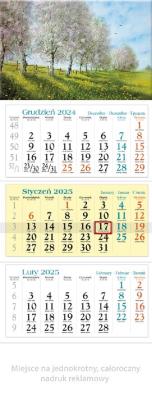 Okładka książki Kalendarz 2025 trójdzielny Wiosna