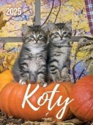 Opakowanie Kalendarz 2025 wieloplanszowy B4 Koty
