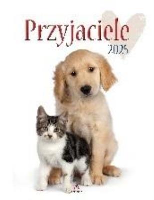 Opakowanie Kalendarz 2025 wieloplanszowy Przyjaciele biały